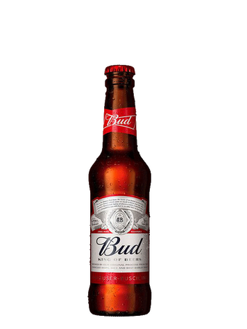 Bière bud 33cl